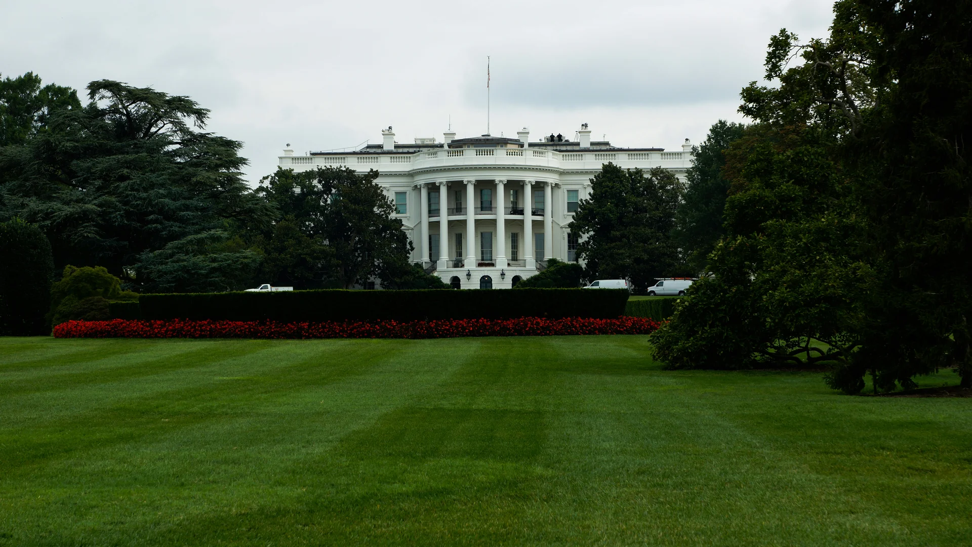 TRUMP Meme Coin Price, Volume Skyrocket on Exclusive Event