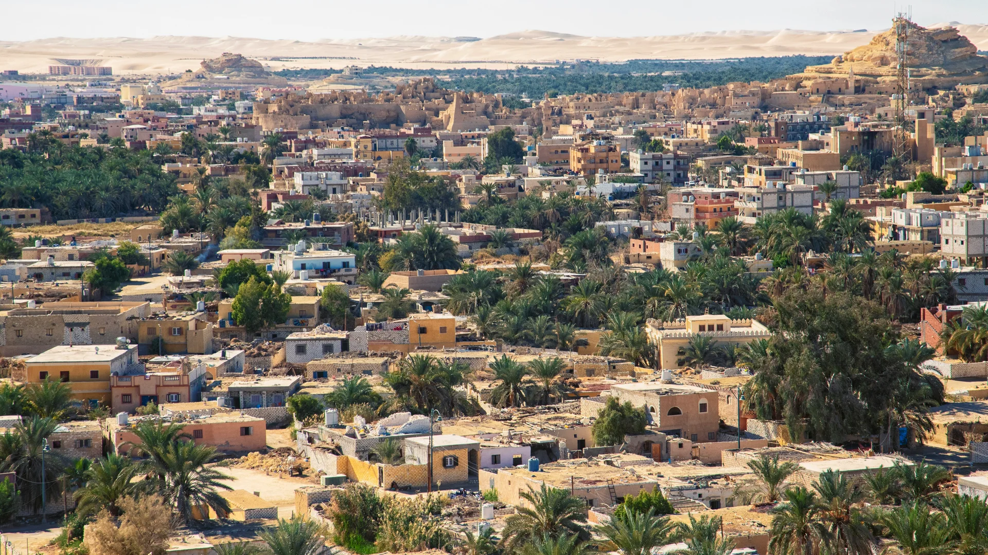 Iran ceasefire extended illustration for Pepeto Presale Tops $9.45M as Iran Ceasefire Extension Lifts Bitcoin, Cardano, Ethereum