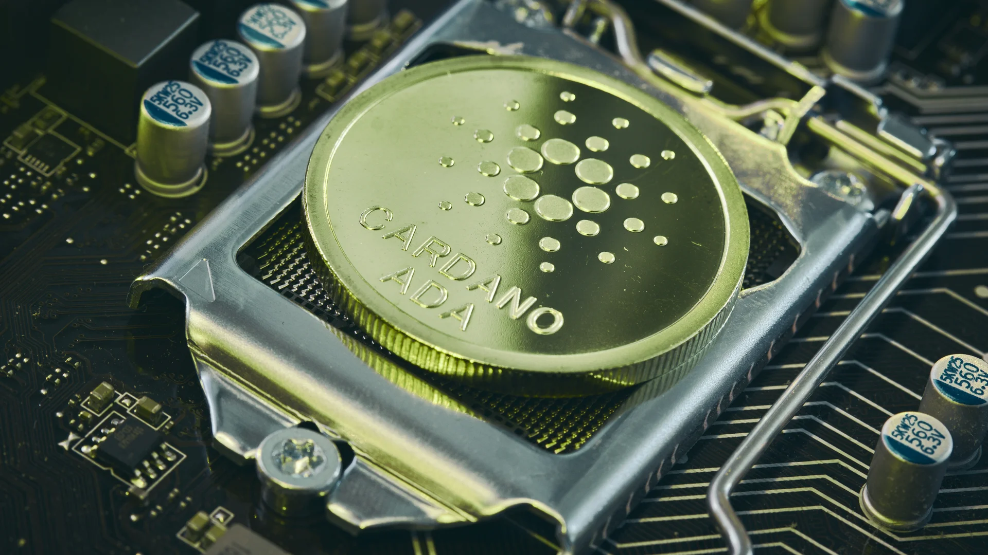 Solana RSI 1200 days illustration for Solana SOL Coils Below $90 as Weekly MACD Flips Bullish for First Time Since May 2025