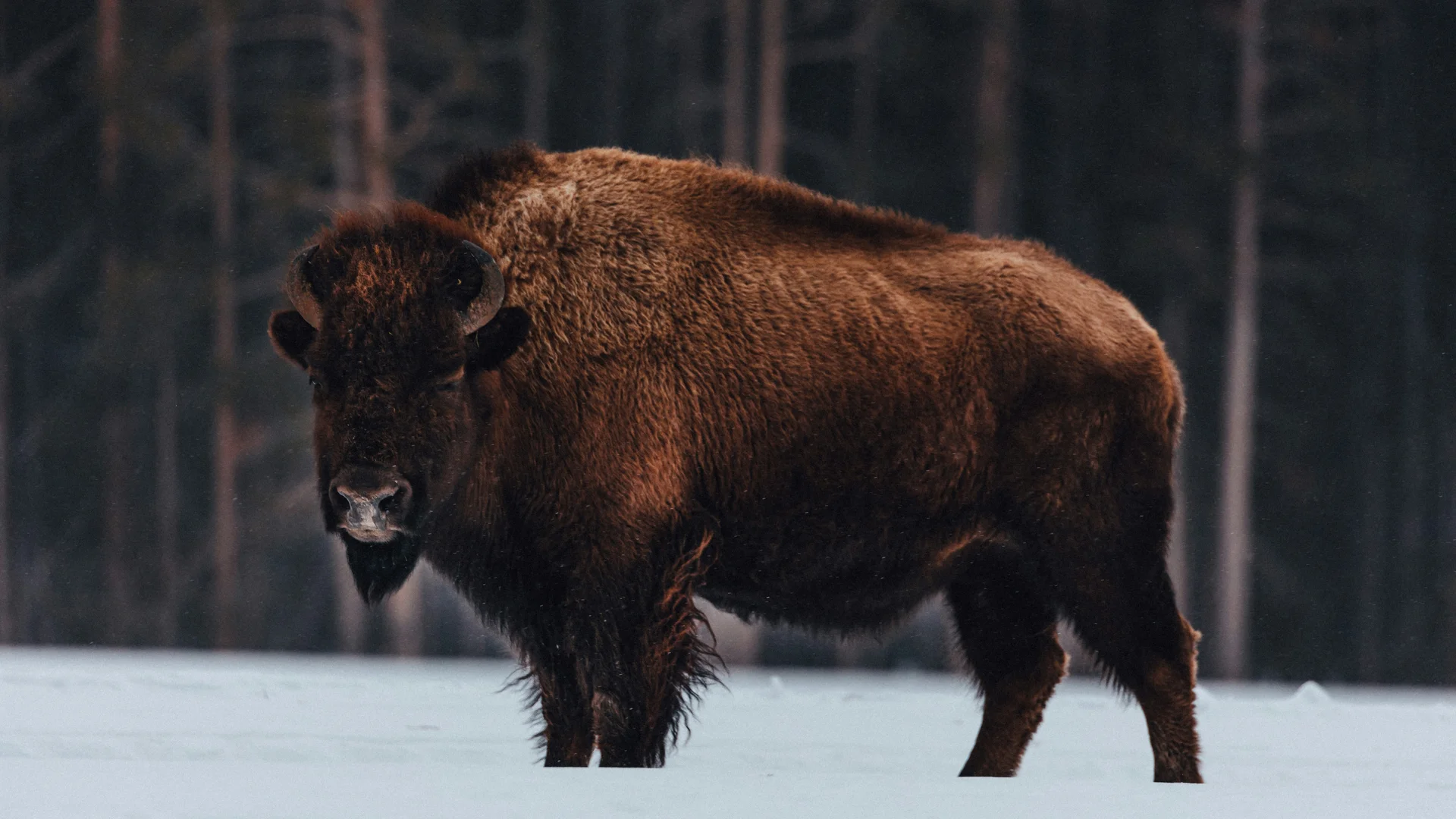 Ether Needs 3 Key Signals to Rally Past $2,400