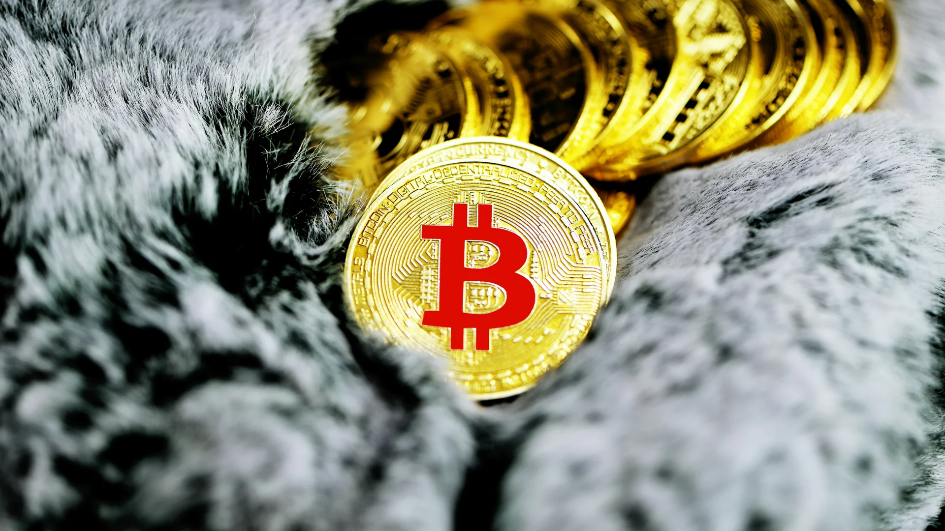 Ark Invest Dumps Meta, Nvidia, Bitcoin ETF Shares